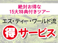 15大特典付きツアー