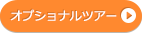 オプショナルツアー