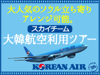 大韓航空利用ツアー