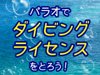 パラオでダイビングライセンスをとろう