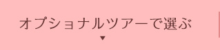 オプショナルツアーで選ぶ