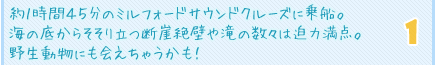 約１時間４５分のミルフォードサウンドクルーズに乗船。海の底からそそり立つ断崖絶壁や滝の数々は迫力満点。野生動物にも会えちゃうかも！