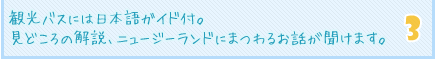 観光バスには日本語ガイド付。見どころの解説、ニュージーランドにまつわるお話が聞ける。